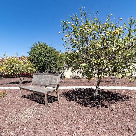 Casa Las Palmeras Granadilla De Abona Zewnętrze zdjęcie